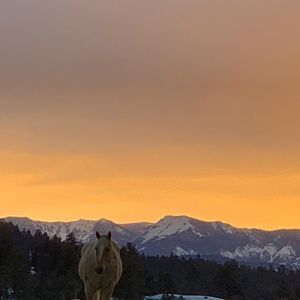 Meet your Posher, Tonya